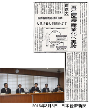 Nihon Keizai Shimbun article